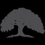 Live Oak Contracting