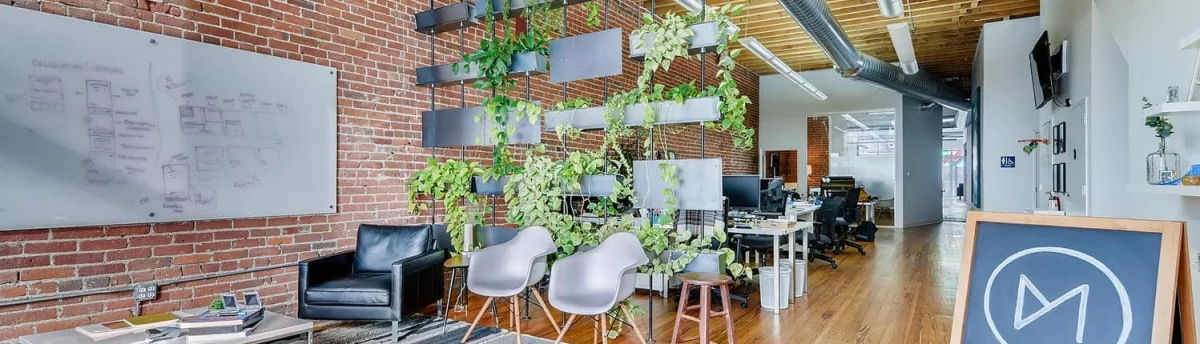 303 Development project