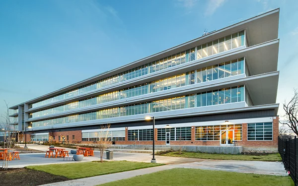 Cadence McShane project