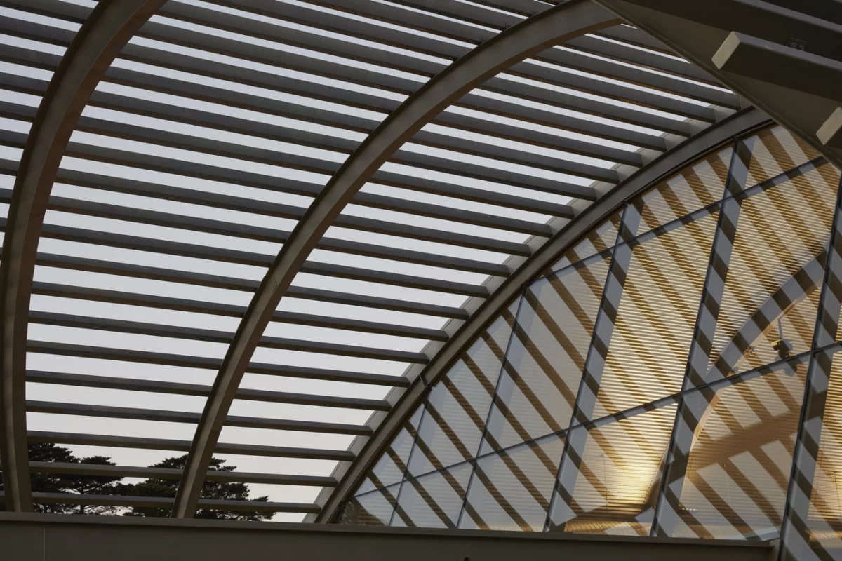 Fender Katsalidis project