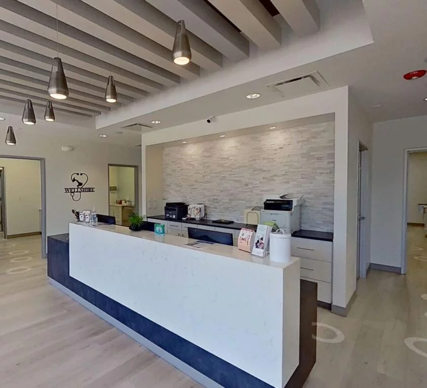 Hill Commercial Construction project