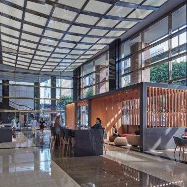 Snyder Langston project